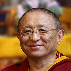 Chokyi Nyima Rinpoche Tibetan Buddhist Dharma Teacher and Meditation Master in the Kagyu and Nyingma traditions.